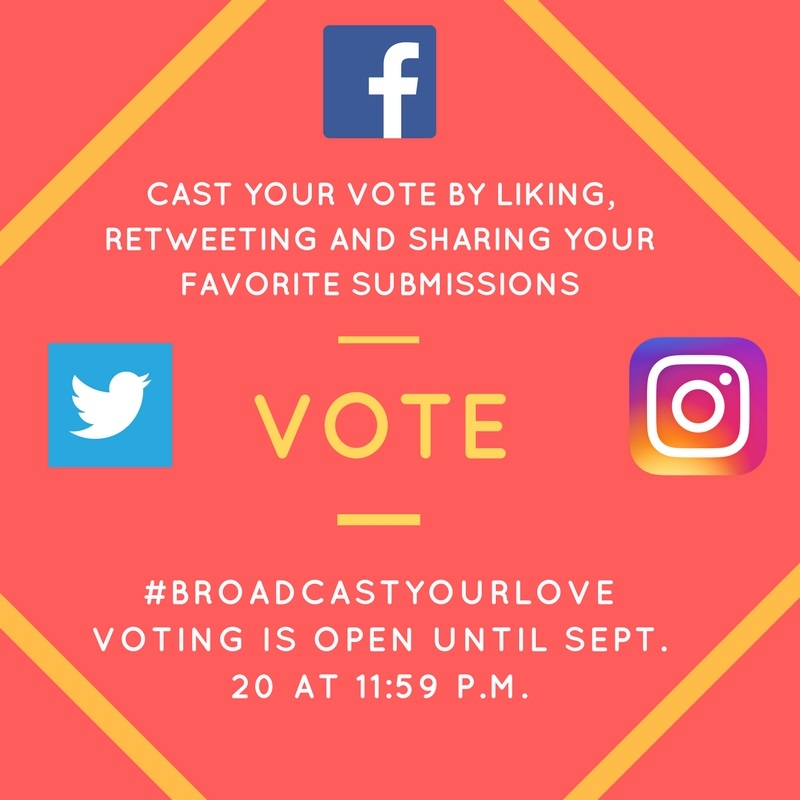 Vote early and vote often providers council