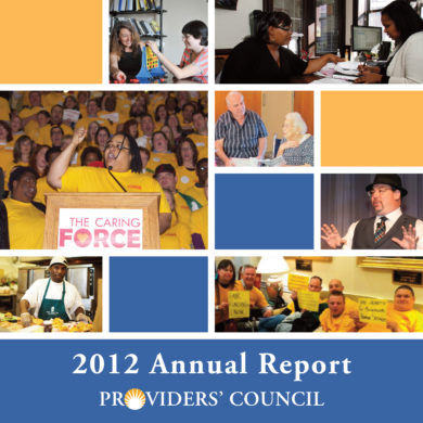 2012 Annual report cover